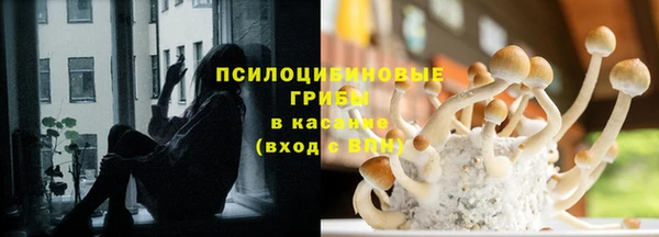 прущая мука Арсеньев