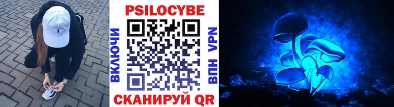 Псилоцибиновые грибы MAGIC MUSHROOMS  площадка наркотические препараты  Лениногорск 