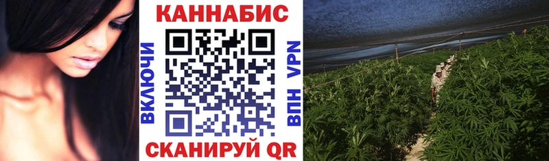 Бошки Шишки индика  купить наркоту  Лениногорск 